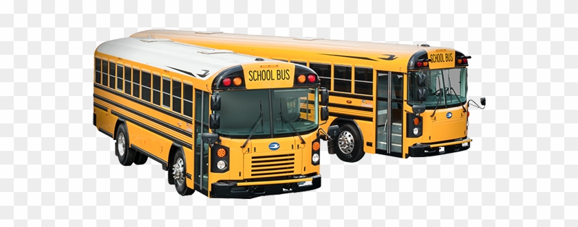 All American - School Bus #1147524