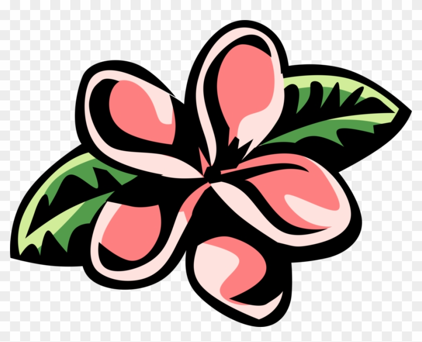 Vector Illustration Of Plumeria Botanical Horticulture - Plumeria Clip Art #1147542