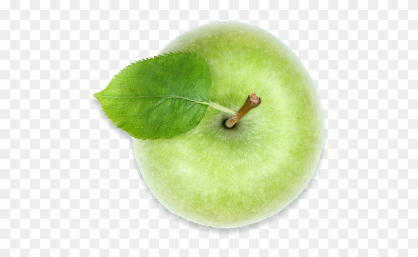 Green Apple, Americas Breakroom - Apple #1147702