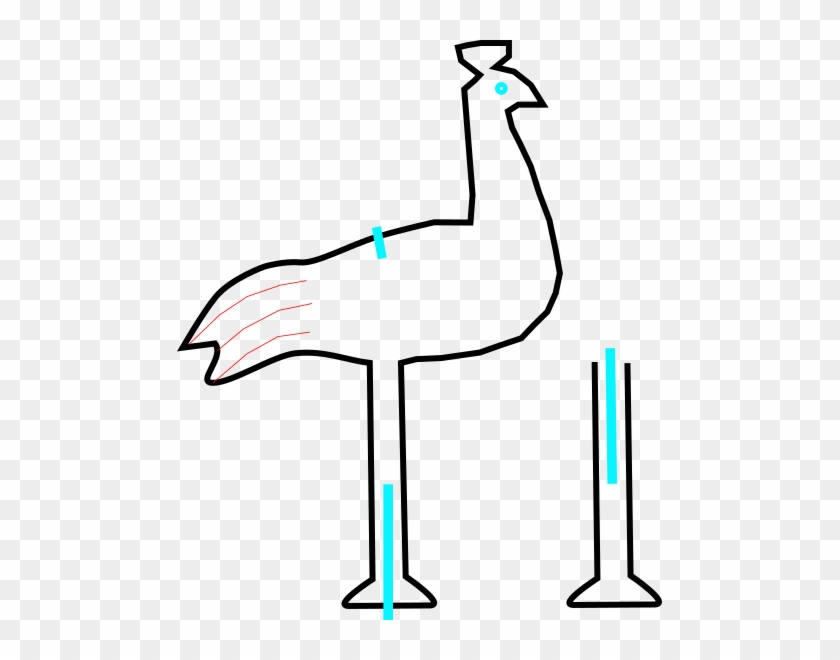 Peacock Design 4 - Peacock Design 4 #1148039