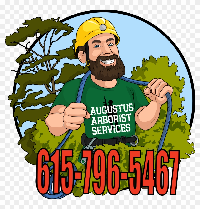 Augustus Arborist Services #1148179