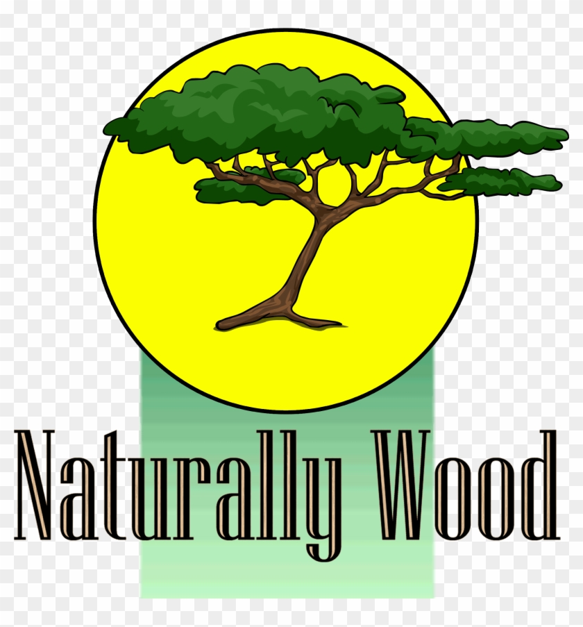 Naturally Wood - Acacia Tree Clipart Png #1148180