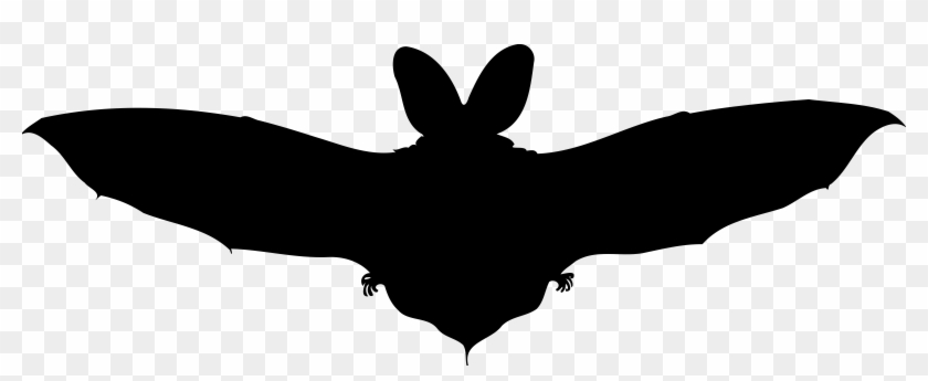 Brown Long Eared Bat Silhouette Icons Png - Long Eared Bat Silhouette #1148191