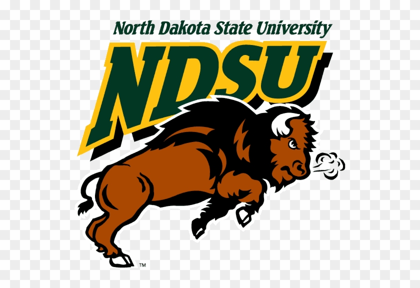 After Graduating High School From Stillwater Area High - North Dakota State Bison #1148306