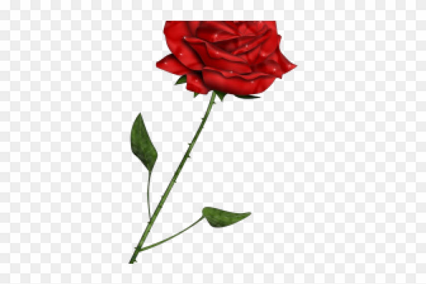Red Rose Clipart Phantom The Opera - User Profile #1148706