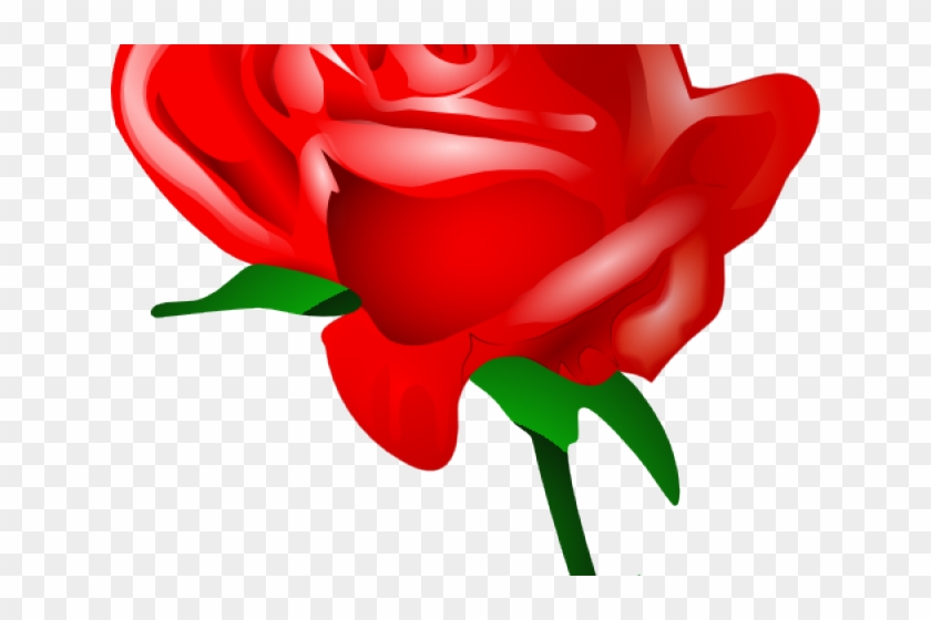 Red Rose Clipart Valentines Day Rose - Vetor Rosas Vermelhas Png #1148728