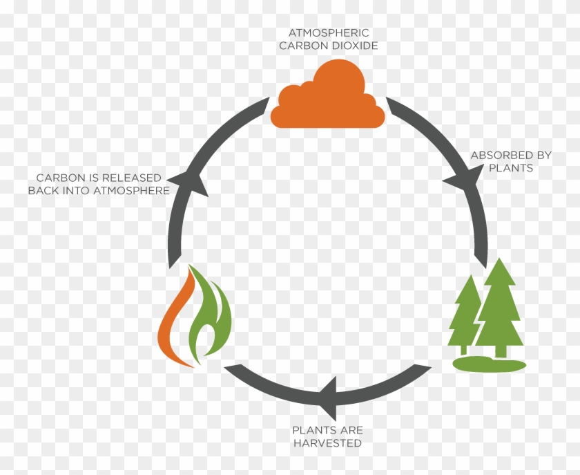 When The Plant Is Burned, The Same Amount Of Carbon - Plate Clip Art #1148887