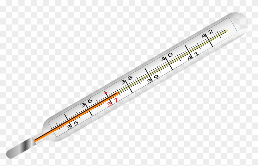 Ruler Cliparts 19, Buy Clip Art - Different Types Of Thermometer #1149394