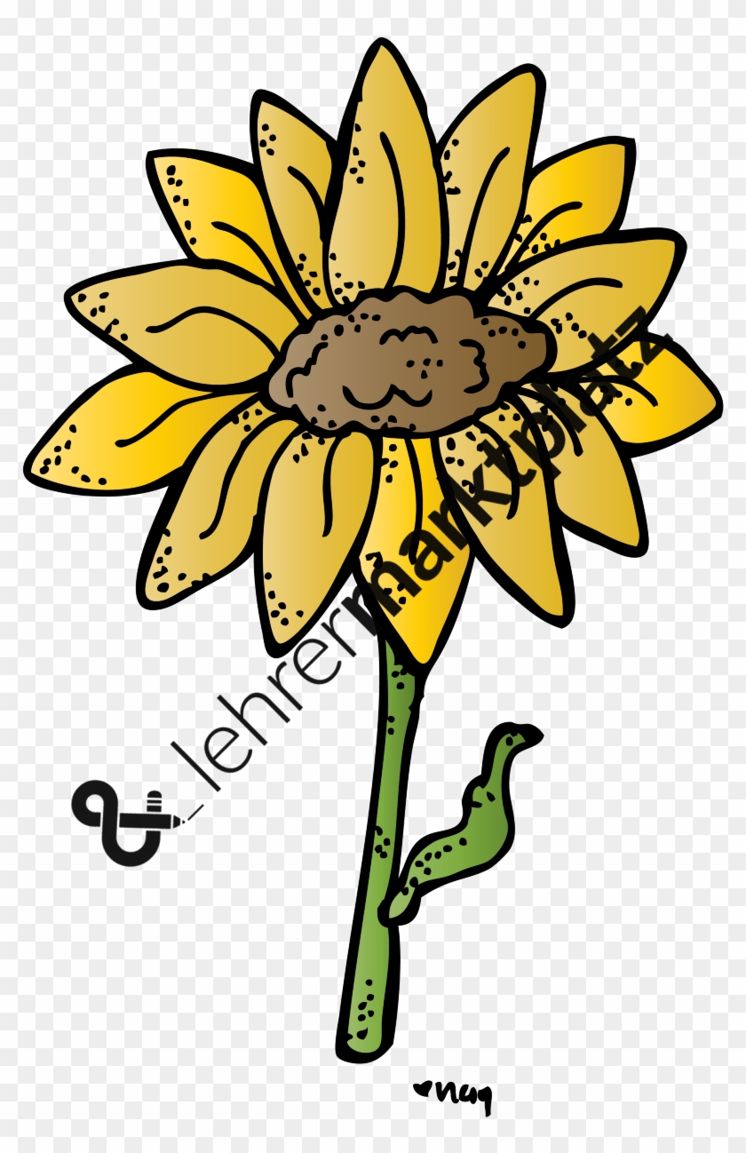 Blumen Biologie, Daz / Daf, Deutsch, Englisch, Lehreralltag, - Clip Art #1149674