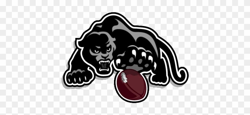 Panther W Ball Left - Football Strath Haven High School #1150229