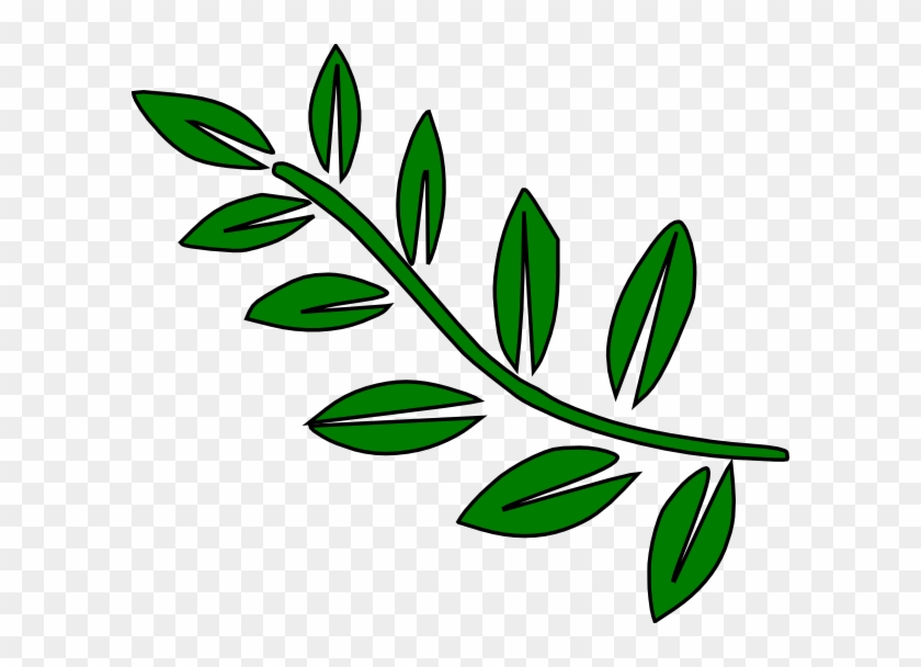 Long Leaves Clipart - Tree Branch Clip Art #1150775