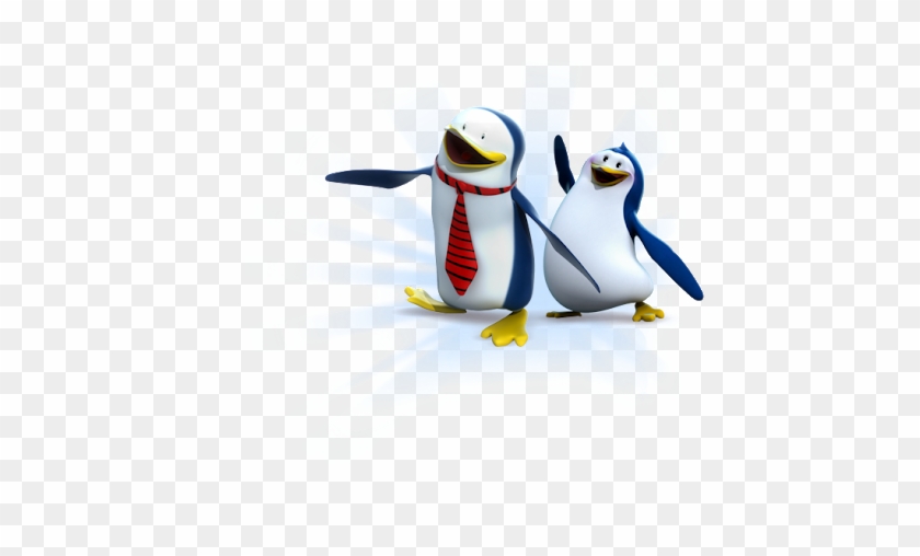 King Penguin #1150983
