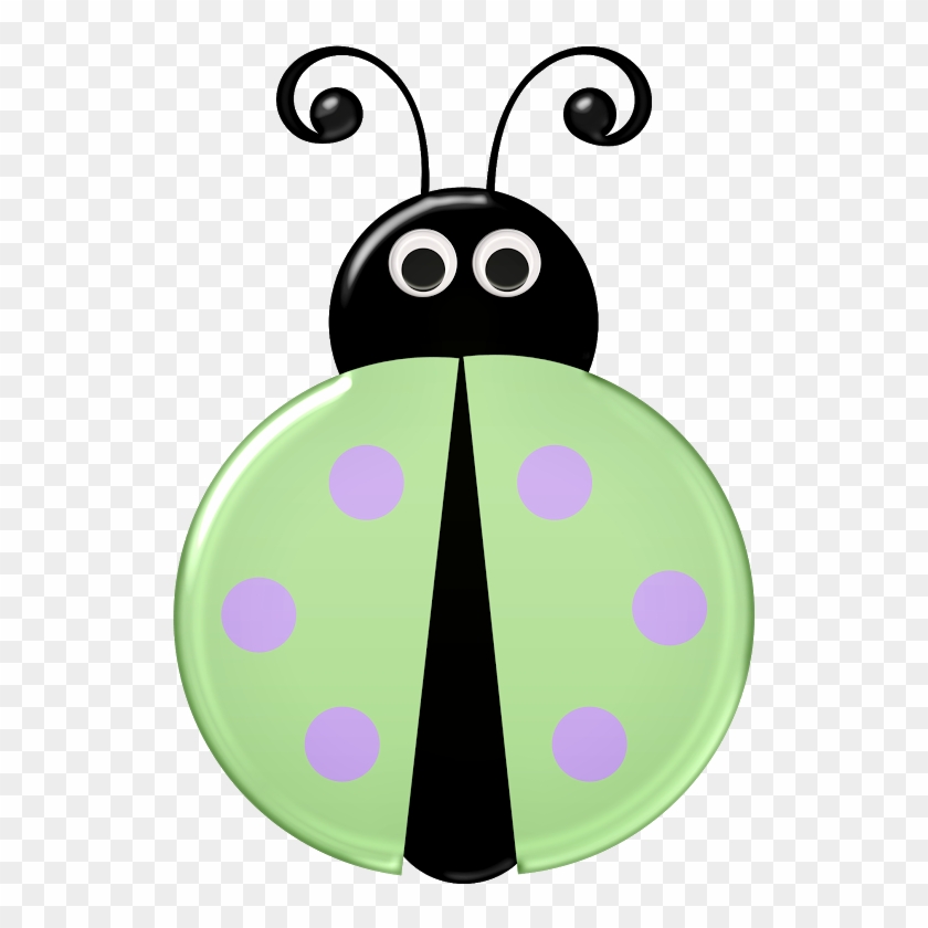 Bugs ‿✿⁀ - Ladybird Beetle #1151123