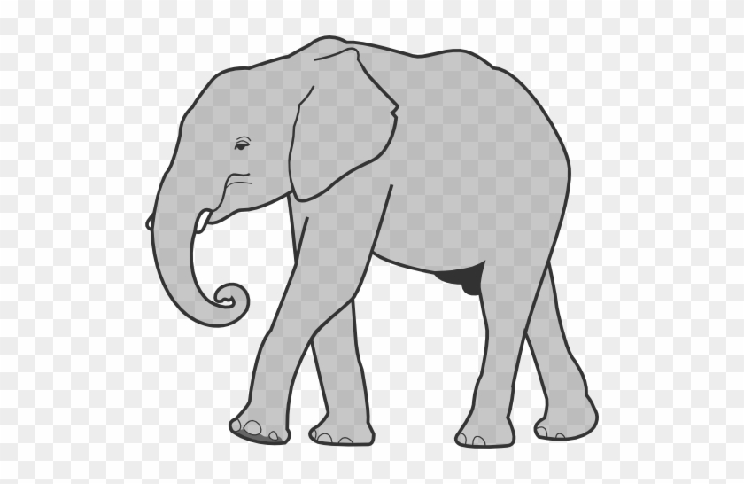 صورة فيل - Grey Elephant Shower Curtain #1151192
