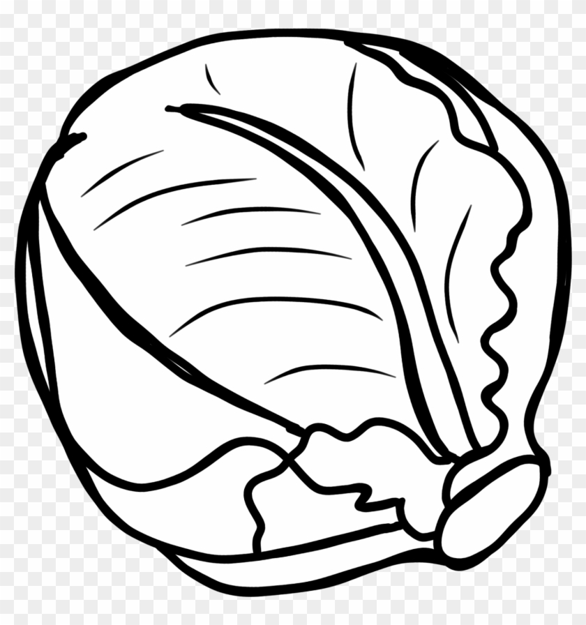 Vegetable Clipart Black And White Free Download Best - Cabbage Clipart Black And White #1151310
