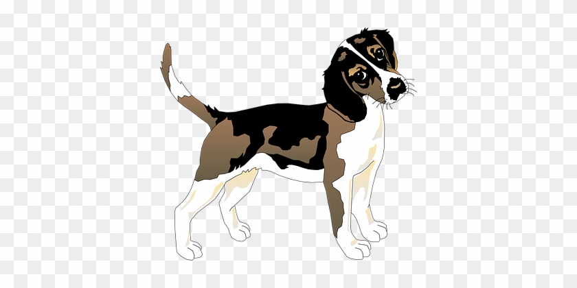 Black White Dog Beagle Pet Animal Mammal F - Shiloh Book Word Search #1151841