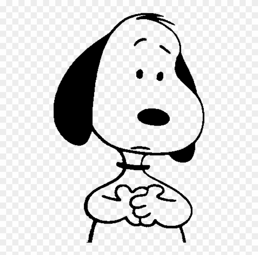 black and white beagle like snoopy