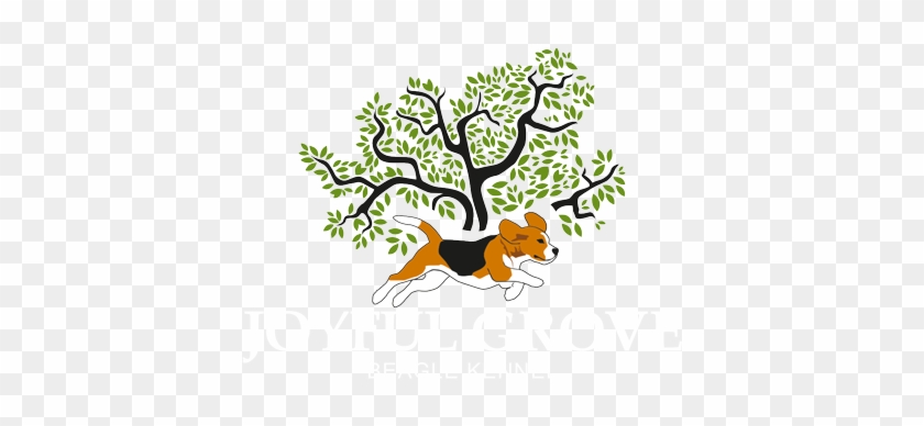 Logo - Big Tree Small Axe #1151900
