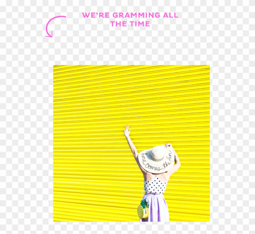 » Colorful Terrarium Pudding Cups - Cartoon #1152330