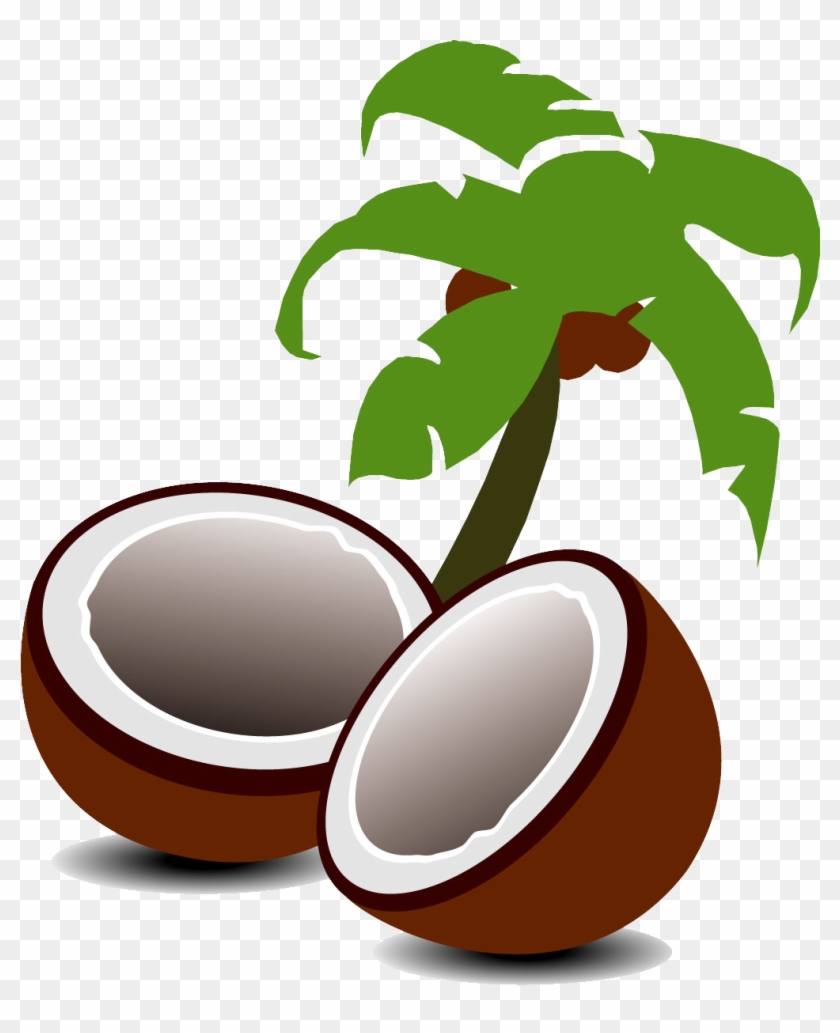 Coconut Water Coconut Milk Fruit Tree - Cartoon Palm Trees #1152601