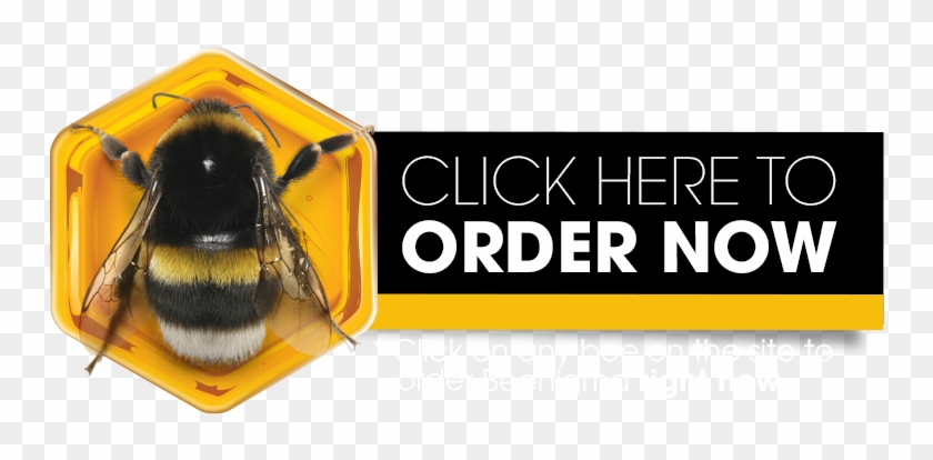 Do Not Use This Product If You Have A Known Bee Allergy - Bumblebee #1152656