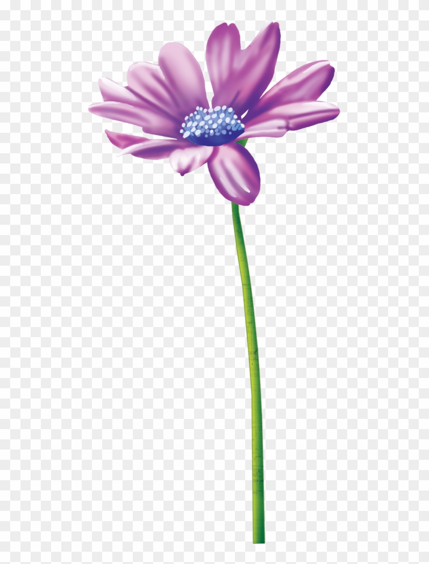 Flowers - Flower #1152678