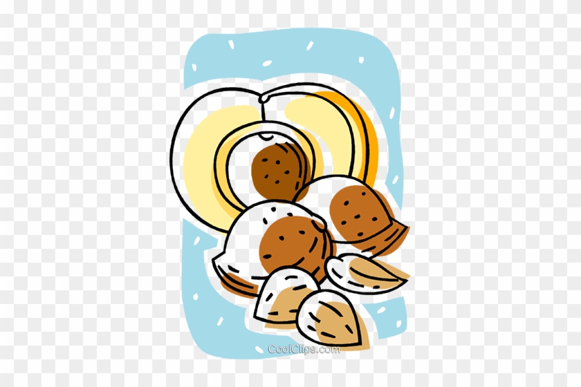 Almonds, Nuts Royalty Free Vector Clip Art Illustration - Food #1153248