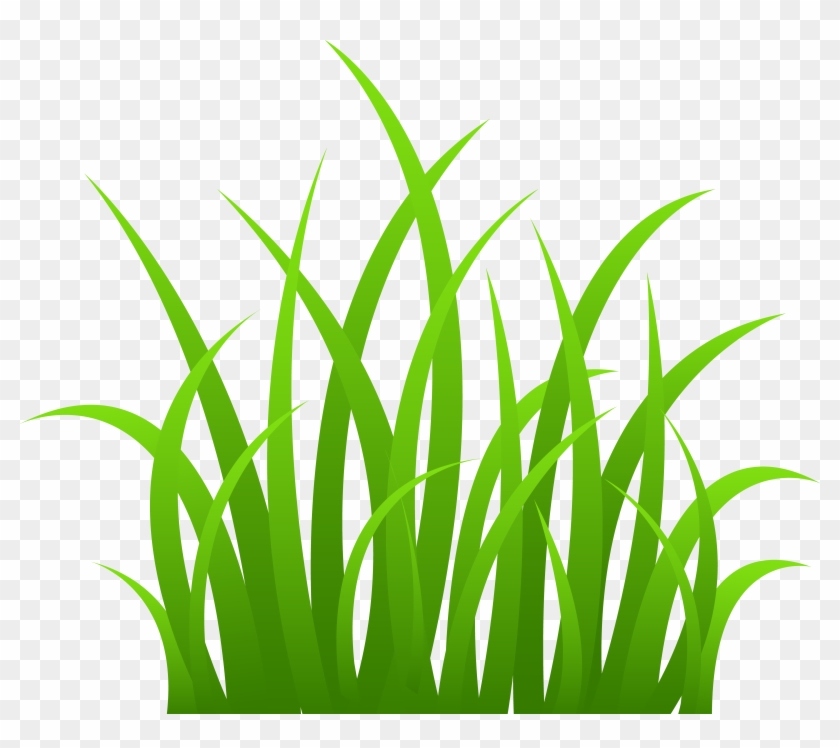 Shrub Bushes Clipart Plant Grass - Grass Clipart Png #1153257