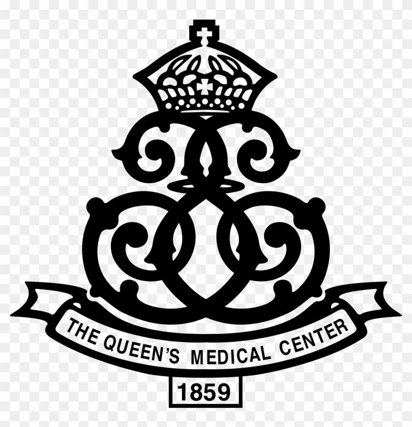 The Queen's Medical Center Chooses Videotel's Vp71 - Queen Health System Hawaii #1153561