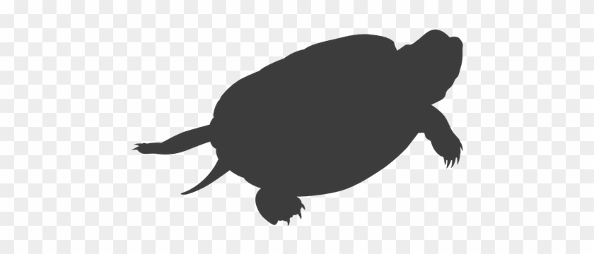 Turtle Lying Silhouette - Tortuga Silueta Png #1153636
