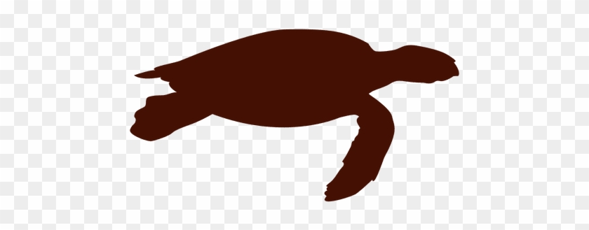 Turtle Silhouette - Silhouette #1153637