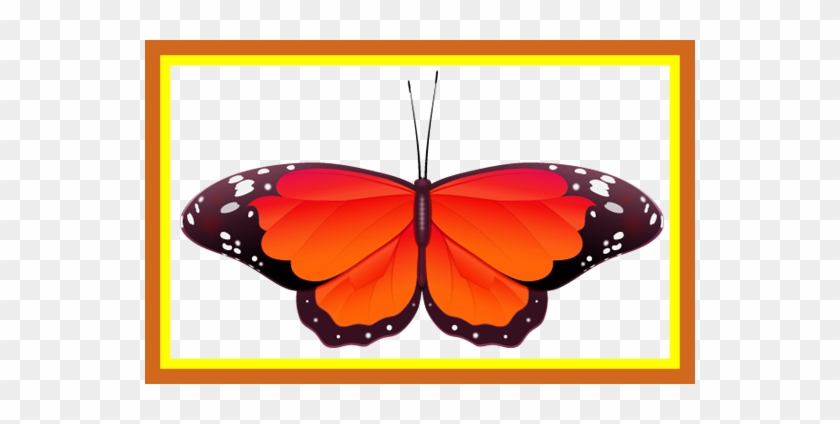 Butterfly Clipart Butterfly Clipart Red Unbelievable - Red Butterfly Clipart #1153807