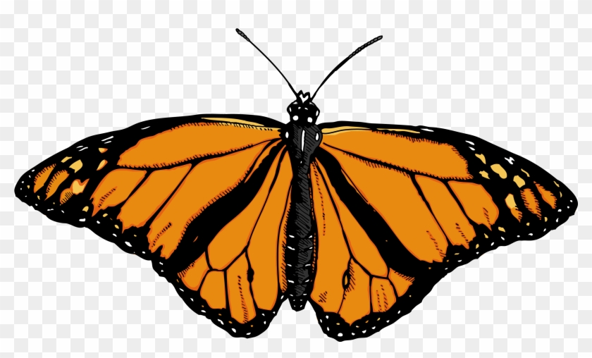 Light Orange Butterfly Clip Art At Clker - Butterfly Png #1153811