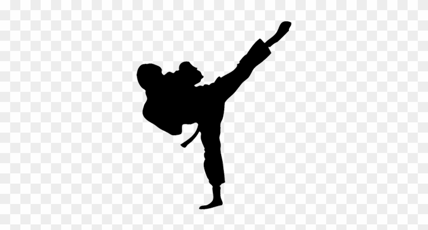 To Park's Us Taekwondo Center In Manchester, Connecticut - Taekwondo Kick Png #1153965
