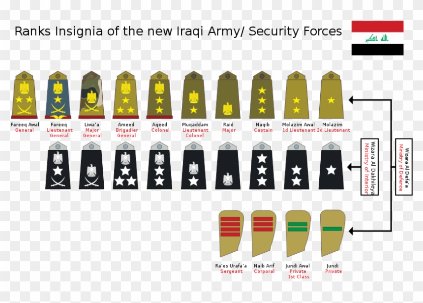 Iraqi Army Ranks Insignia #1154156