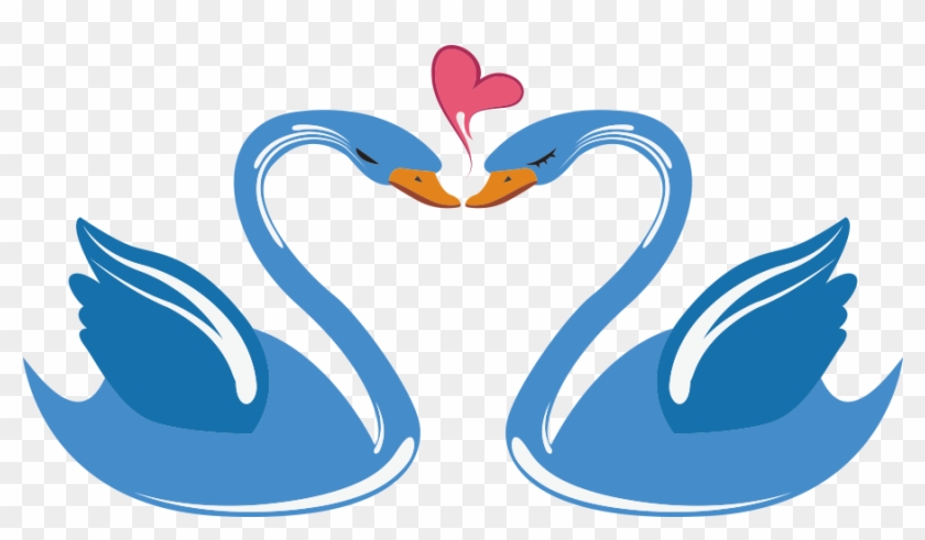 Swan Love Cartoon - Swan Heart Png #1154685