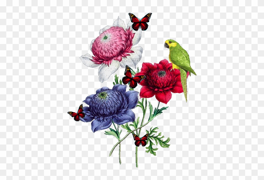 Animated Flowers - Animated Flowers And Butterflies - Free Transparent PNG  Clipart Images Download