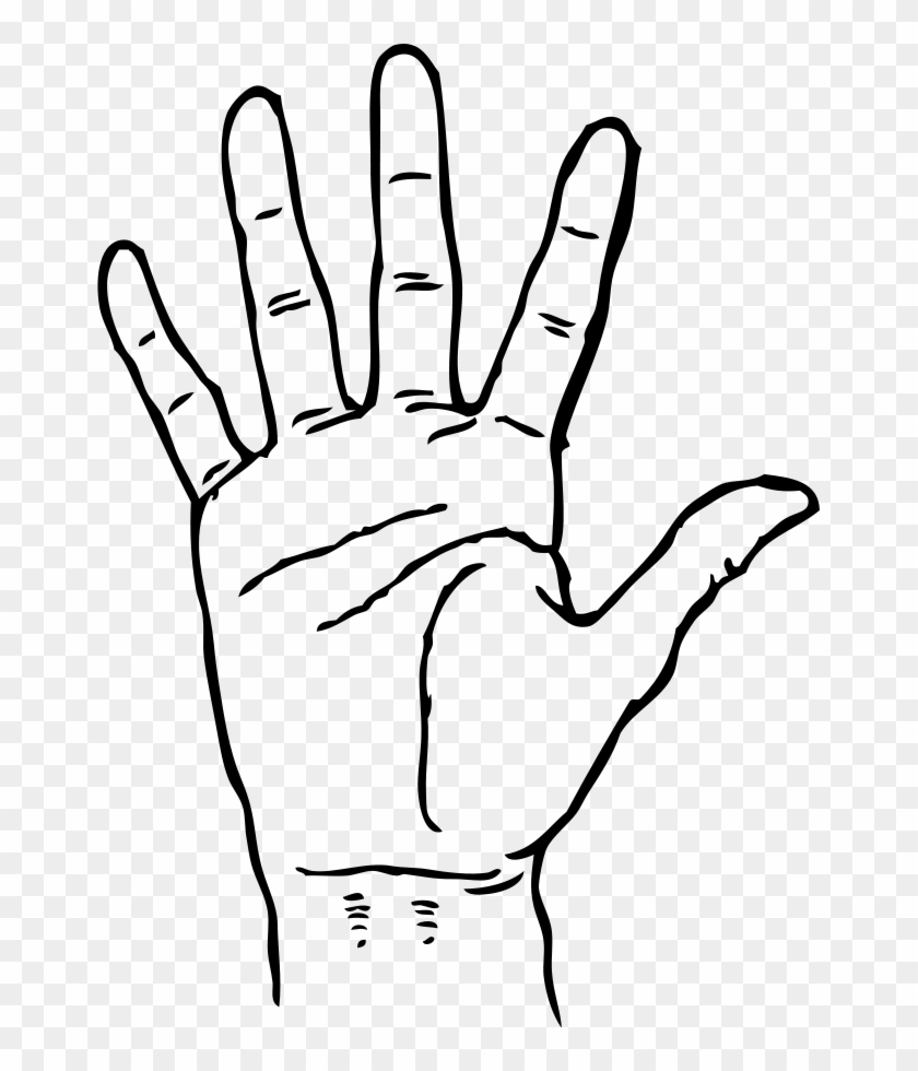 Hand Clip Art - Young Life Logo Transparent #1154922