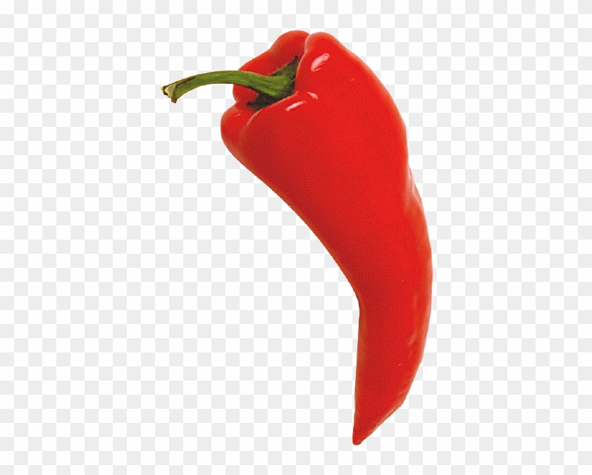 Red Chili Pepper - Chili Pepper Red #1154924