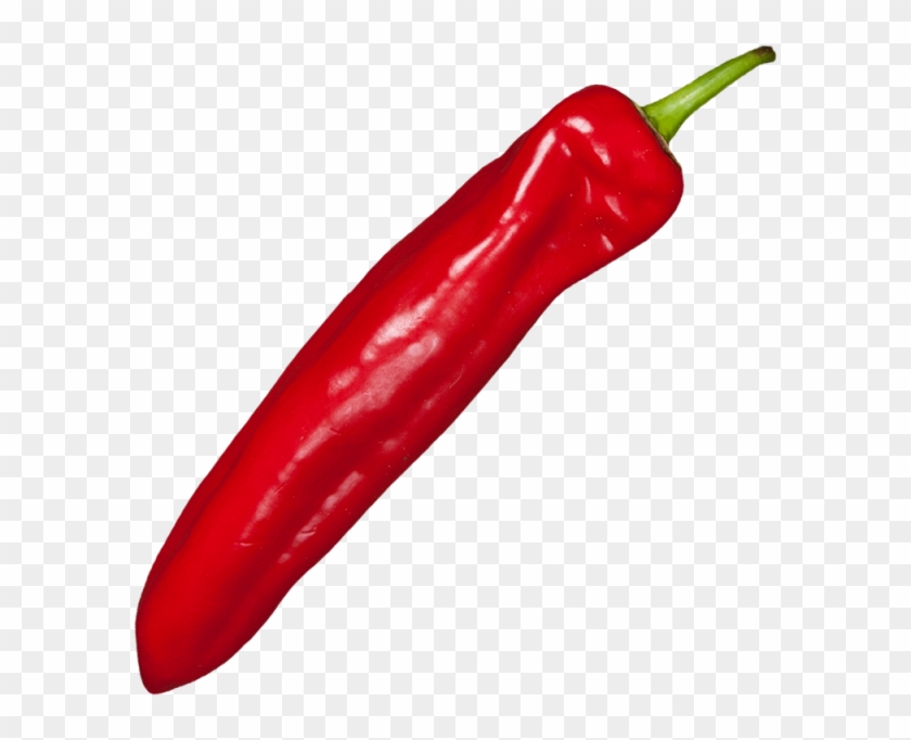 Red Chili - Sriracha Pepper #1154937