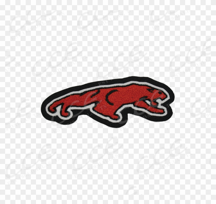 Carolina Panthers #1154979