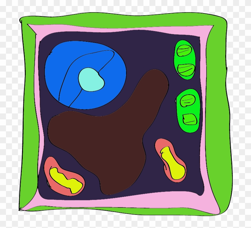 Plant Cell Diagram For Kids Animal With Tattoo Page - Plant Cell Rangoli -  Free Transparent PNG Clipart Images Download