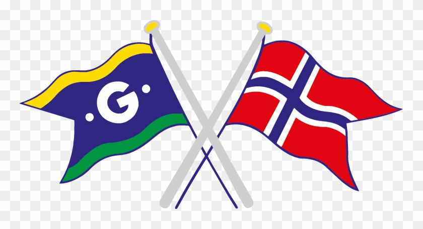 Logo Flagg Grå - Lektern #1155458