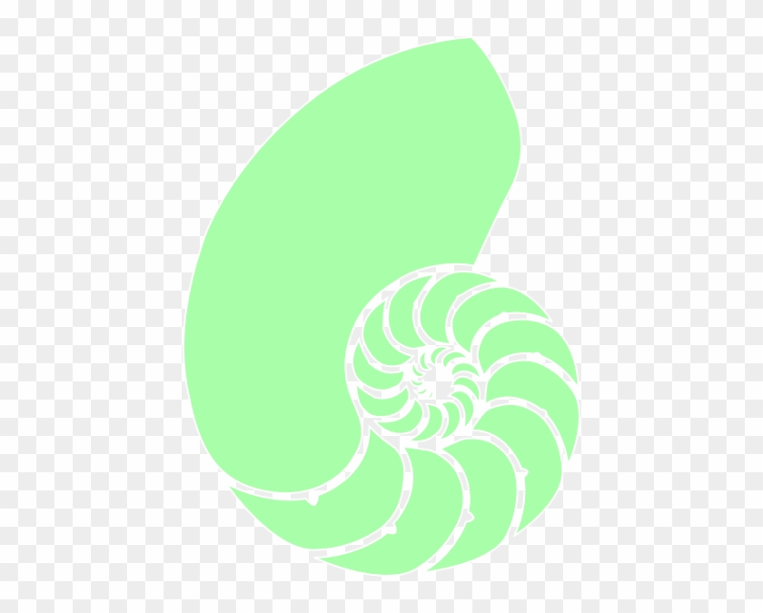 Nautilus Shell Kappa Delta #1155524