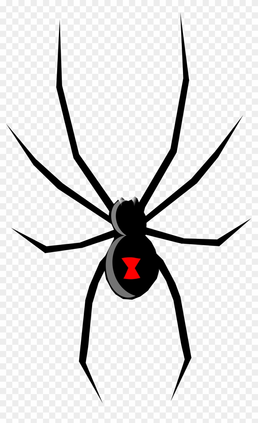 Open - Black Widow Spider Drawing #1155973