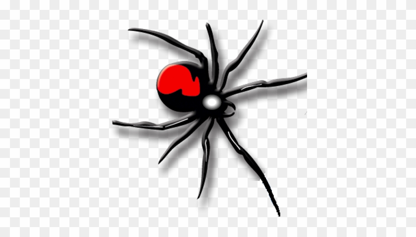 Adios Pest Control - Red Back Spider #1155996