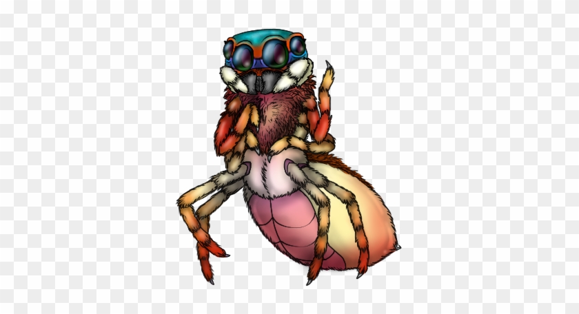 Pastel Widow Spider Sold To Realspiders - Cartoon #1156004