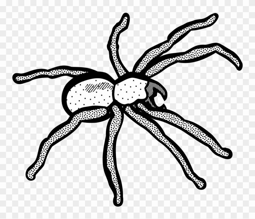 Medium Image - Line Art Spider #1156007