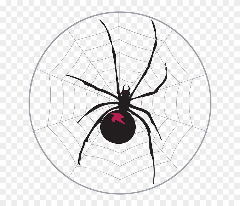 Black, Spider, Web, Widow, Legs, Arachnid - Free Black And White Clip Art Black Widow #1156093