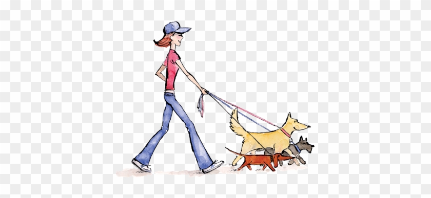Loose Leash Dog Walking Service Newlands Johnsonville - Dog Walking #1156224